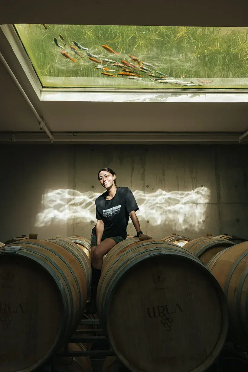 Barrel cellar at a winery in Urla